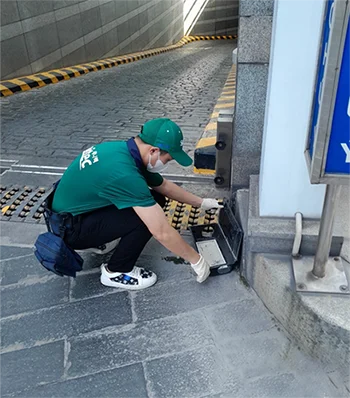 Kỹ thuật viên kiểm tra hộp giám sát chuột tại cơ sở